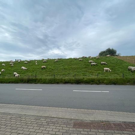 Appartamento Nordwindoase Grünendeich Esterno foto