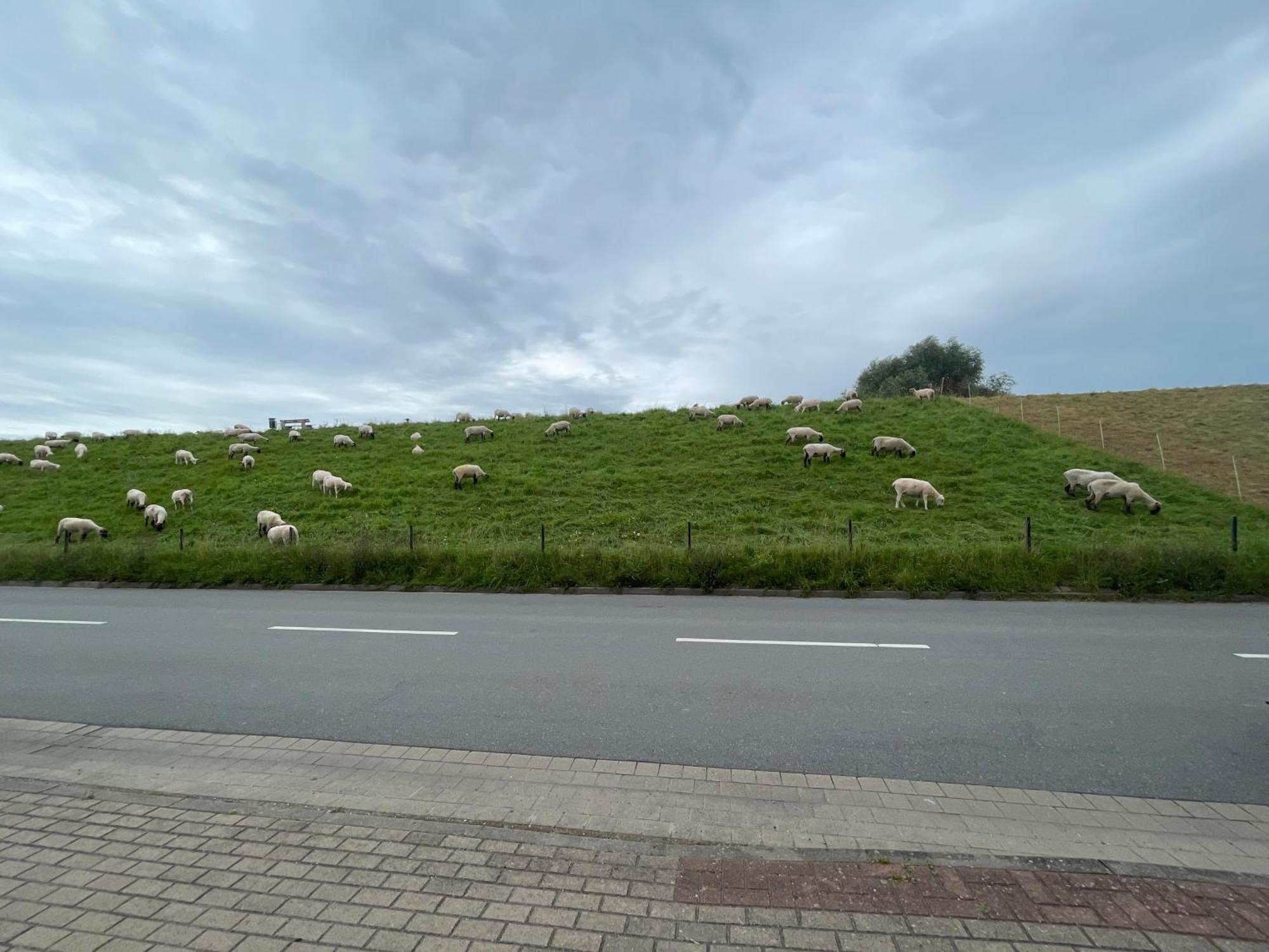 Appartamento Nordwindoase Grünendeich Esterno foto